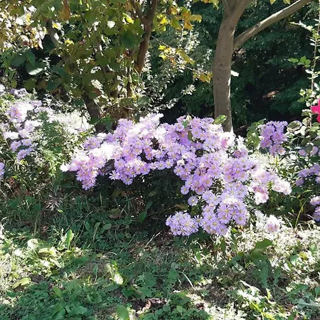 度假居 Nature Escape Busovaca