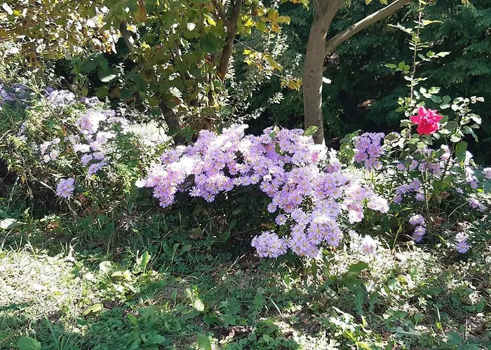 度假居 Nature Escape Busovaca